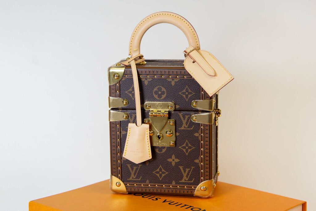 Louis Vuitton New Camera Box Trunk Bag